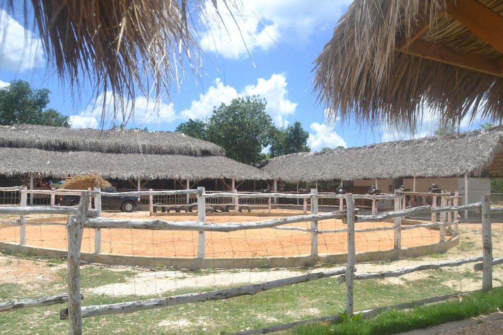 Green Village Bayahibe Λα Ρομάνα Εξωτερικό φωτογραφία